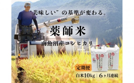 
                  【令和８年産新米予約】定期便全6回【南魚沼市食味コンテスト優秀賞】南魚沼産コシヒカリ 白米10kg(5kg×2) ｜薬師米【定期便 銘柄米 ブランド米 精米 こしひかり コシヒカリ 魚沼産】【2026年10月上旬から1ヶ月以内に順次発送予定】
                