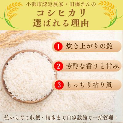 ふるさと納税 小浜市 先行受付　令和7年産福井県産こしひかり　白米10kg |  | 01