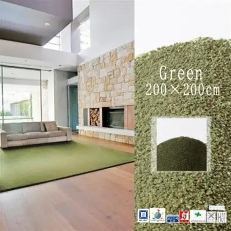 高密度＆素足に心地よいソフトタッチ カーペット (サキソニー)グリーン【200×200cm】【1395798】