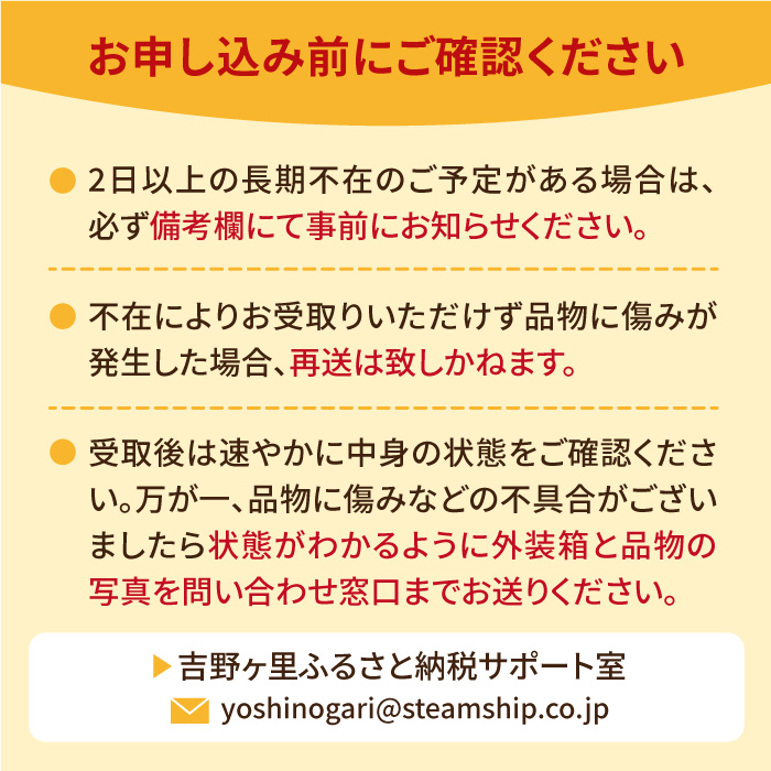 【1月中旬〜3月中旬発送】みずみずしい果肉！さがほのかレギュラーパック4P 240g×4 いちご イチゴ 苺 フルーツ 果物 佐賀 吉野ヶ里町/リエンサーク [FCC001]