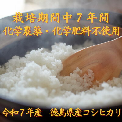 【ふるさと納税】栽培期間中7年間化学農薬・化学肥料不使用　徳島県産コシヒカリ　10kg　精米【1711898】