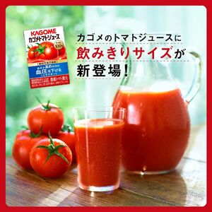 【定期便 11ヶ月】カゴメトマトジュース 食塩無添加 100ml 120本 【 トマトジュース 】
