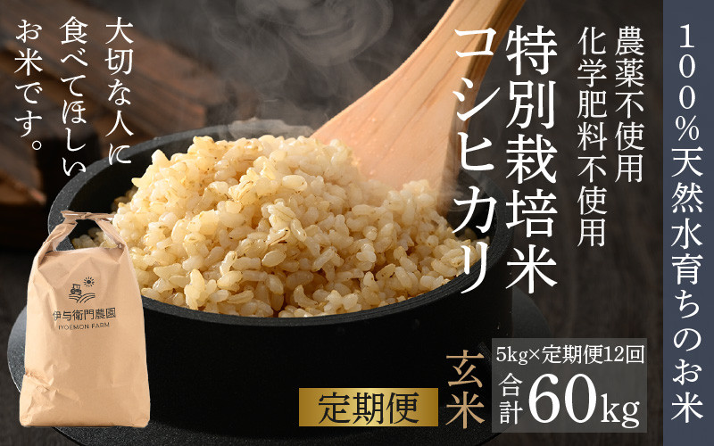 
            【先行予約】【令和7年産 新米】《定期便12回》伊与衛門農園のコシヒカリ 玄米 5kg（計60kg） 特別栽培米 化学肥料不使用  ＜温度と湿度を常時管理し新鮮米を出荷！＞／ 高品質 鮮度抜群 福井県あわら産 ブランド米 お米 ※2025年10月上旬より順次発送予定 [aw071-l001]
          