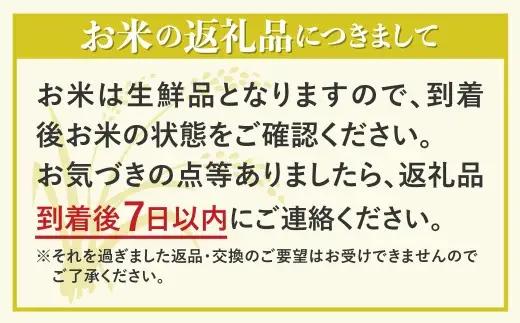 令和7年産 米 いのちの壱 5kg / 米 白米 5kg 米