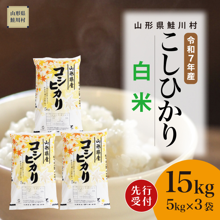 ＜令和7年産米先行受付＞ 鮭川村産 こしひかり 【白米】 15kg （5kg×3袋） 配送時期指定できます！