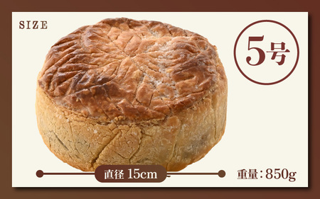 【数量限定】飴色りんごの贅沢アップルパイ 5号ホール：直径15cm (4?5人前) 850g 【アップルパイ りんご ケーキ 焼き菓子 スイーツ デザート 果物 フルーツケーキ 洋菓子 贈答 ギフト】