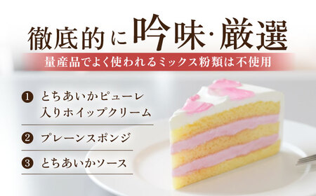 ドルチェケーキ とちあいかショート ケーキ 計12個（4個×3箱）【ファミール製菓株式会社】 [AKCI022]