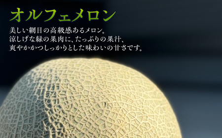 【先行予約】すず農園 オルフェメロン3玉 オルフェメロン メロン ハウスメロン デザート フルーツ 果物 旬 お盆 愛知県 田原市 渥美半島