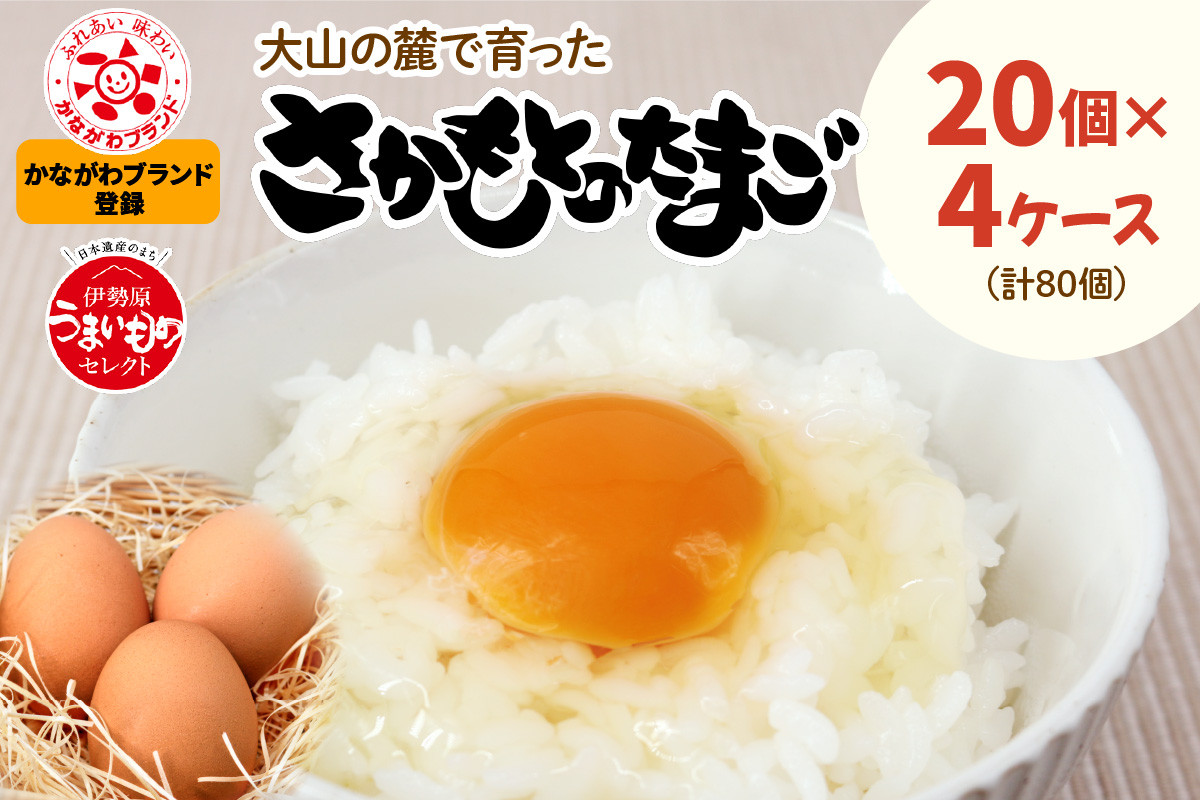 
坂本養鶏 大山の麓で育ったさかもとのたまご 80個 (20個×4ケース) [0090] 伊勢原市 赤玉卵 玉子 鶏卵 生卵 国産 TKG タマゴ 新鮮
