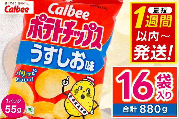 
                  ポテトチップス カルビー 「うすしお味」16袋（55g×16袋）1ケース 総計880g【ポテチ Calbee うすしお セット 菓子 ポテト チップス スナック おやつ しお じゃがいも ジャガイモ お取り寄せ まとめ買い 詰め合わせ 詰合せ 人気 送料無料】  (BG026)
                