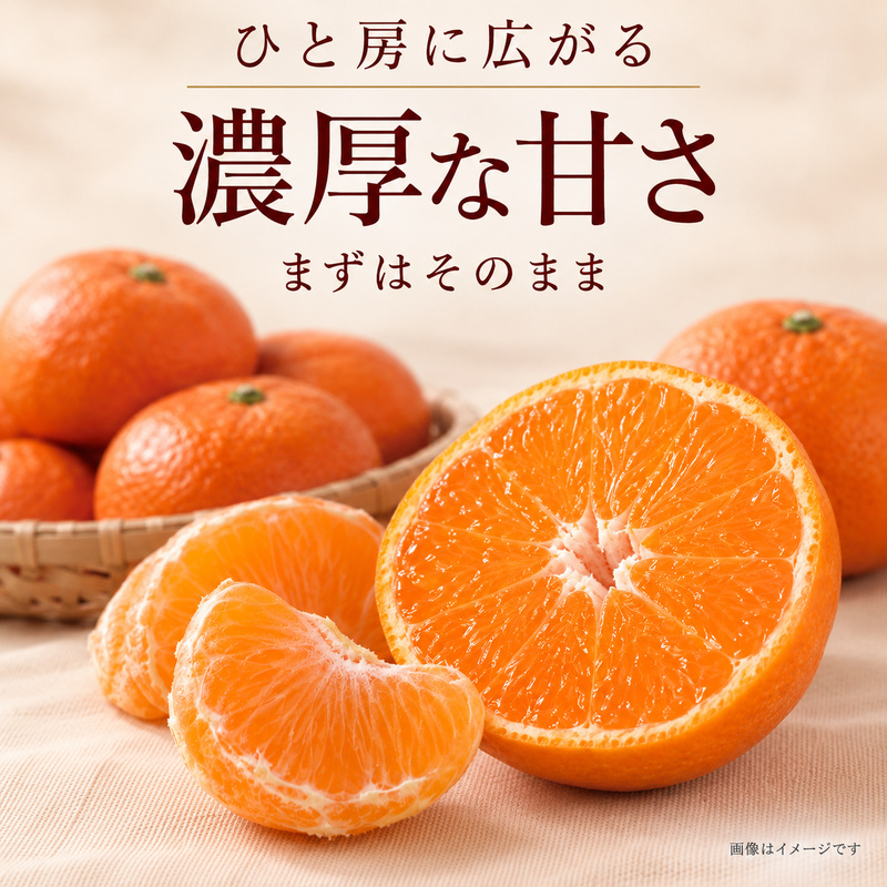 みかん 小原紅早生 金時紅 香川県産 国産 約3kg L〜Sサイズ混合 糖度11度以上 甘い 果皮が紅い 品種登録 柑橘 ミカン 蜜柑 こはらべにわせ フルーツ 果物 くだもの 果物類 デザート おや