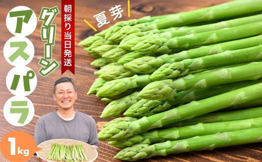 朝採れ！新鮮！グリーンアスパラガス 1kg | アスパラ アスパラガス グリーンアスパラガス 夏芽 朝採れ 新鮮 料理 野菜 サラダ 美土里農園 栃木県 茂木町