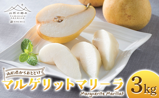 FYN6-447【山形の極み】 贈答用 山形県産 西洋梨 マルゲリットマリーラ 3kg(6～9玉) 2026年9月下旬から順次発送 西洋なし 洋なし 秋果実 果物 くだもの フルーツ 化粧箱 ギフト箱 贈答 贈り物 ギフト プレゼント 自宅 家庭 山形県 西川町 月山 
