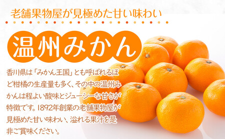 【2024年11月中旬より発送】極撰！温州みかん　約5kg |みかん フルーツ 旬 美味しい みかん 新鮮 フルーツ みかん 詰合せ セット フルーツ 人気 フルーツ 厳選 おすすめ フルーツ