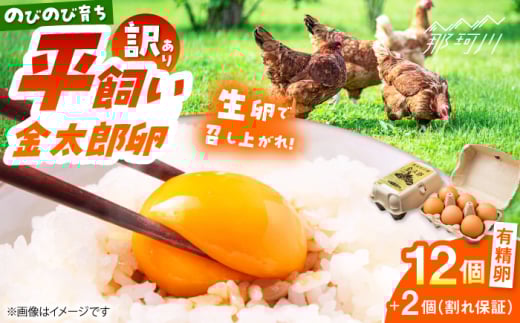 卵 訳あり【鮮度ＡＡ級の世界最高ランク！】金太郎卵 平飼い たまご 12個（6個×2パック）＜有限会社フジノ香花園＞那珂川市 訳アリ 理由あり わけあり たまご 平飼い 新鮮 平飼い卵 国産  生卵 平飼い卵 鶏卵 [GAM039]