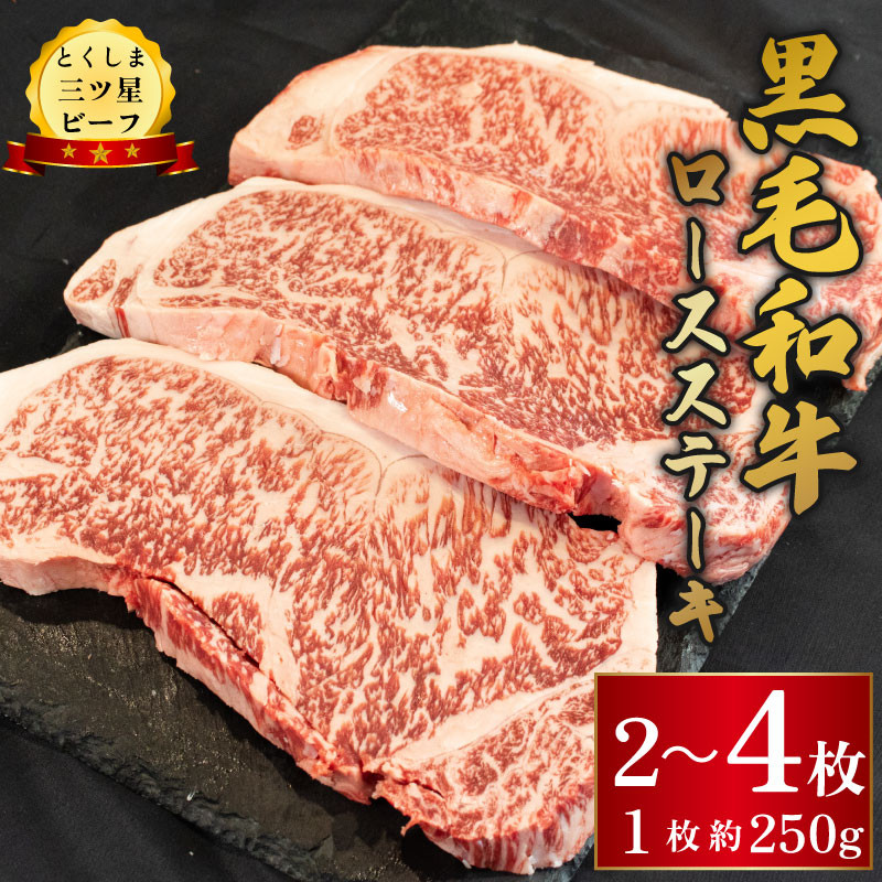 
            黒毛和牛 牛肉 ロース ステーキ 選べる 容量 500g 1kg とくしま三ツ星ビーフ 牛肉 ぎゅうにく 牛 ビーフ 肉 阿波牛 ブランド すきやき すき焼き 牛丼 焼肉 ビーフ BBQ アウトドア キャンプ おかず おつまみ 惣菜 弁当 日用 お祝い 誕生日 記念日 ギフト 贈答 プレゼント お取り寄せ グルメ 冷凍 小分け 送料無料 徳島県 阿波市 肉の藤原
          