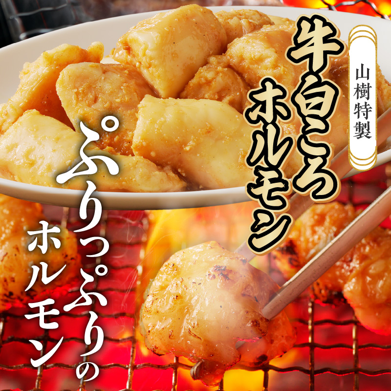 山樹の焼肉セット（黒毛和牛ゲタカルビ、牛タン、白ころホルモン）