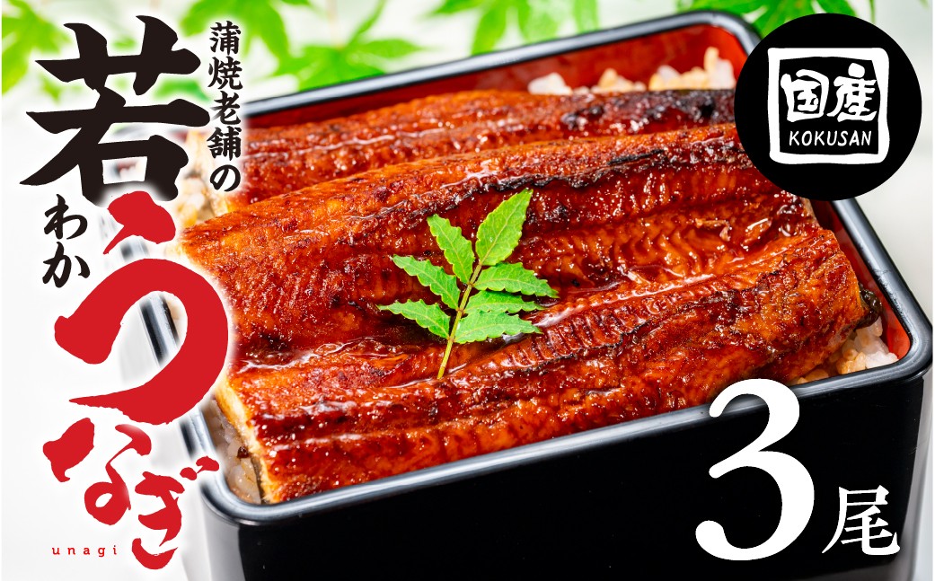 
                  国産若うなぎ 3尾 発送時期が選べる 老舗 国産うなぎ セット 詰め合わせ 蒲焼 ウナギ 3尾 うなぎ 鰻 ウナギ unagi 土用 丑の日 国産 国産うなぎ 若うなぎ カネナカ うなぎのカネナカ 蒲焼 タレ付 長焼 お祝い 誕生日 お歳暮 お中元 高級 プレゼント 鰻 うなぎ ウナギ ギフト
                