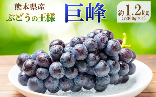 熊本県産 巨峰 約1.2kg 『 かめまる食堂 』 種無し ぶどう | フルーツ 果物 くだもの ブドウ 葡萄 種なし 熊本県 玉名市