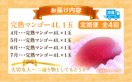 《2026年発送先行予約》【数量・期間限定】完熟マンゴー4L×1玉定期便　全4回 マンゴー くだもの ギフト 定期便