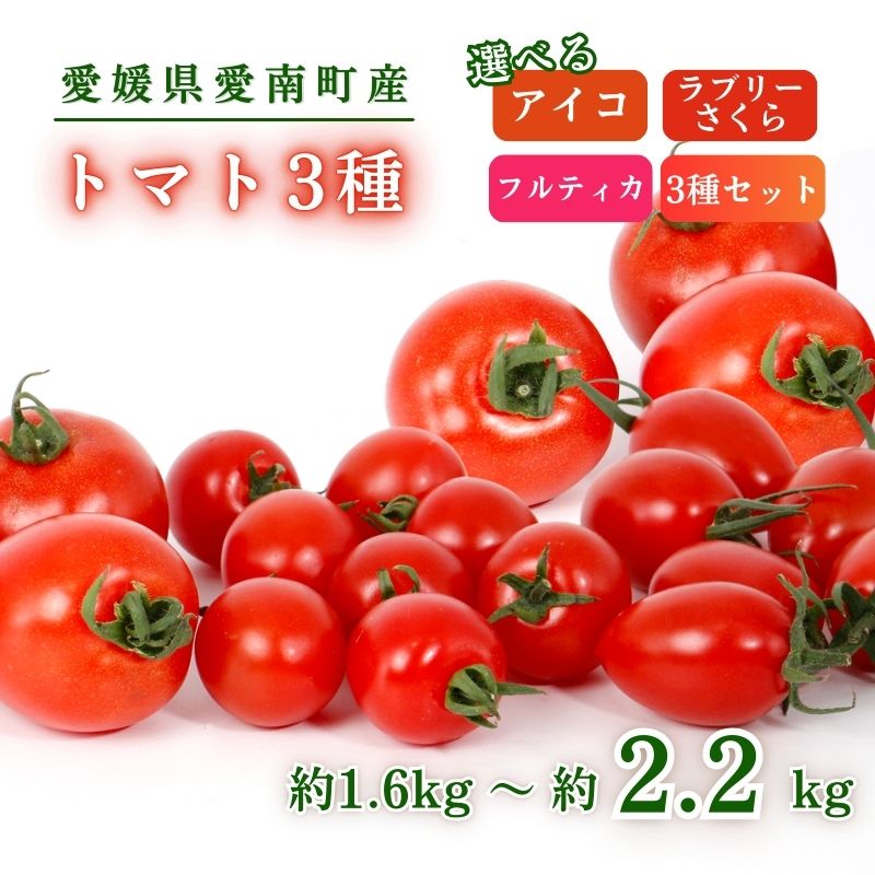 【ふるさと納税】トマト 3種 アイコ ラブリーさくら フルティカ 約1.6～2.2kg 大瀧農園 トマト 完熟トマト 野菜 産地 直送 人気 国産 愛媛県 愛南町 発送期間 2026年3月1日～7月頃まで