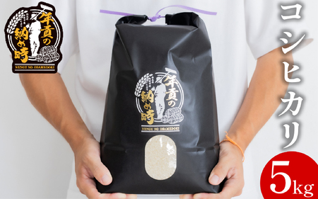 【お米】 コシヒカリ 5kg 令和7年産