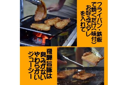 飛騨神岡名物 味付き飛騨旨豚 2パック セット 神岡 飛騨 豚 ステーキ  ひだ小僧  [Q179]