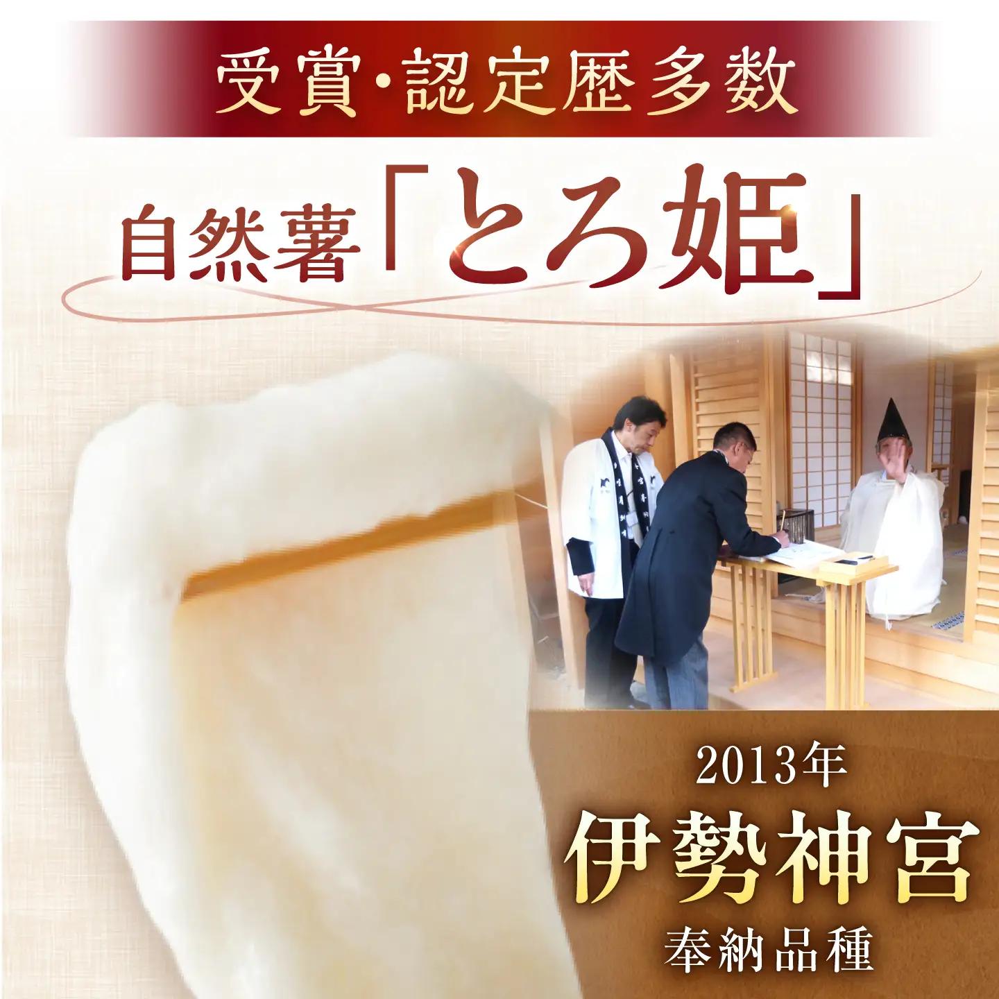 自然薯 冷凍 とろろ 1パック（計180g）/ 恵那市 / 水戸屋 [AUFZ001] とろろ