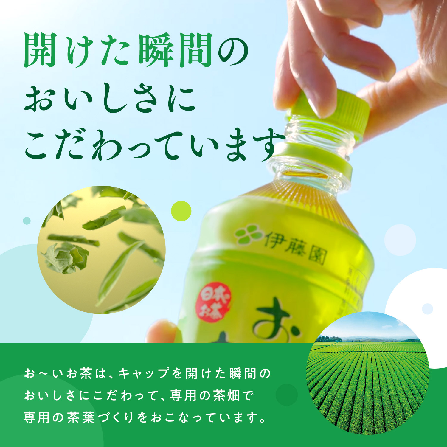おーいお茶 ペットボトル お茶 伊藤園 緑茶 345ml × 24本 定期便 3回 茶 おちゃ 飲料 飲み物 定番 人気 おすすめ 送料無料