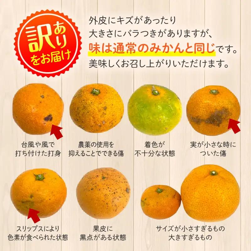 果物 温州みかん 果物[訳あり 15kg 傷み補償分200gを同梱 2026年～2027年発送先行予約]