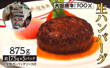 大田原牛 100％ 生ハンバーグ 5パックセット | ブランド 和牛 牛肉 高級 ハンバーグ 自家製 ソース付き ハンバーグハンバーグハンバーグハンバーグ