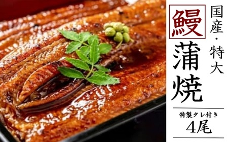 国産 うなぎ 蒲焼 4尾（920g～1kg）と 特製タレ 4個 セット 鰻 ウナギ 蒲焼き うなぎ蒲焼 セイロ蒸し せいろ蒸し タレ付 冷凍  父の日