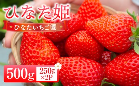 【期間・数量限定】ひなたいちご園【ひなた姫】いちご 500g（250g×2P） 苺 旬 フルーツ