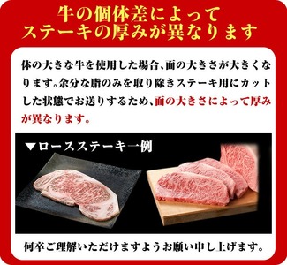 ロース ステーキ 4枚セット ＜4枚・計約1kg＞  牛肉 4等級以上 鹿児島県産 黒毛和牛 【ナンチク】A782-v05