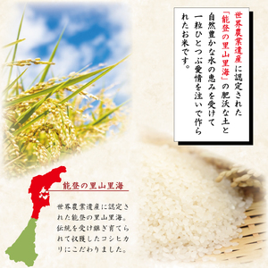 米 定期便 能登米 こしひかり 5kg ×6回 総計30kg [中橋商事 石川県 宝達志水町 38600731] コシヒカリ お米 コメ 6ヶ月 6か月 白米 精米 hurusatonouzei おこ