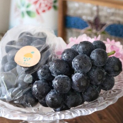 宇城市産　松川果樹園の種なし巨峰　約2kg(5～6房入り)【配送不可地域：離島】【1402473】