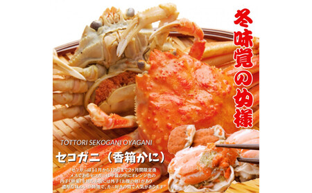 セコガニ 特大サイズ150～190g ×5枚 ご進物用（茹で）