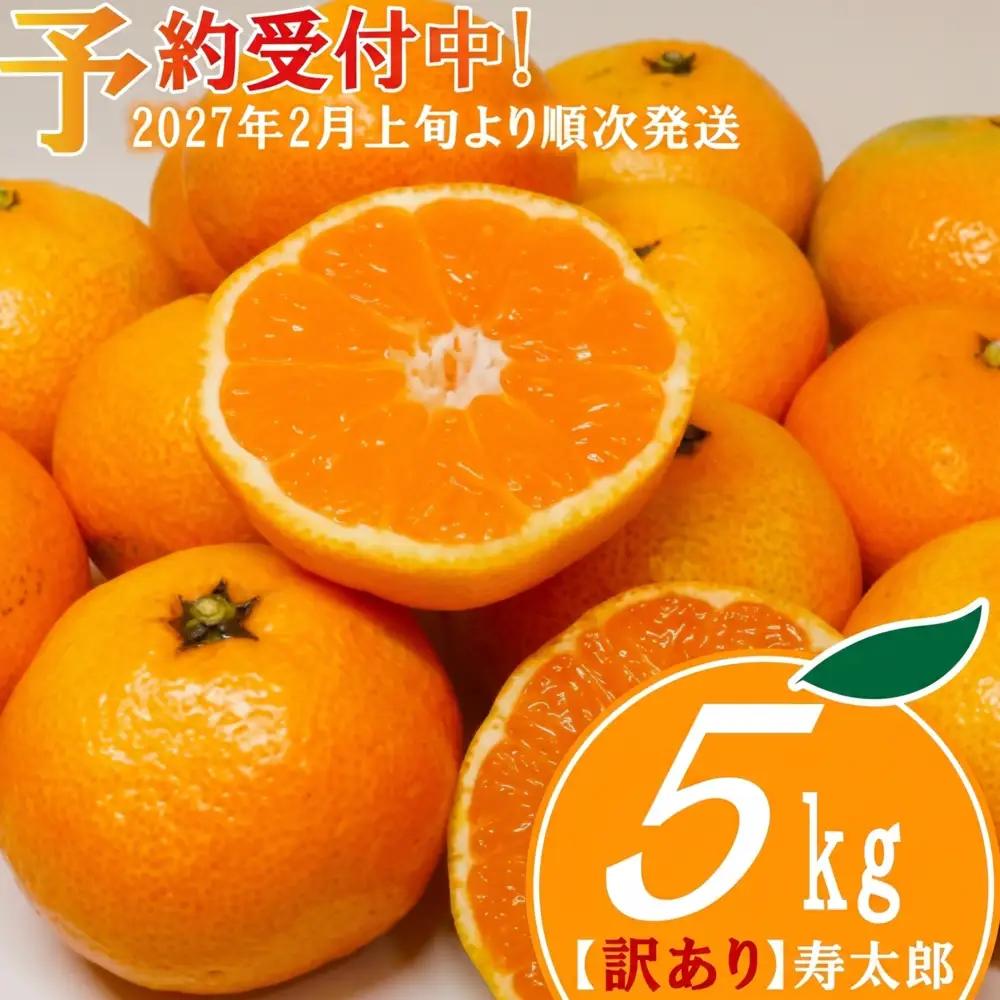 【予約受付】 訳あり 寿太郎 みかん 5kg 小玉 中玉 みかん