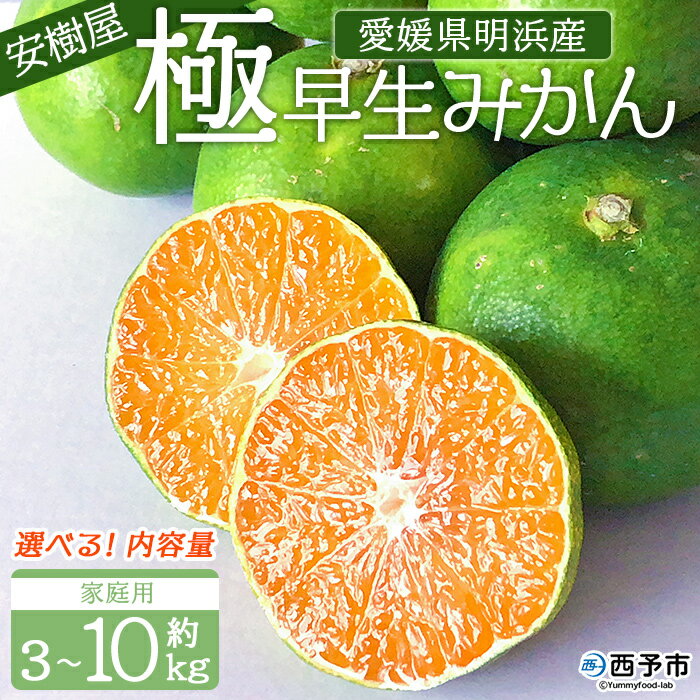 【ふるさと納税】＜安樹屋 愛媛県明浜産 極早生みかん 約3～10kg（家庭用）＞ 選べる 内容量 柑橘 みかん ミカン 蜜柑 果物 くだもの フルーツ ごくわせ 3キロ 5キロ 10キロ 産地直送 安樹屋 愛媛県 西予市【常温】『2025年9月中旬～10月中旬に順次出荷予定』