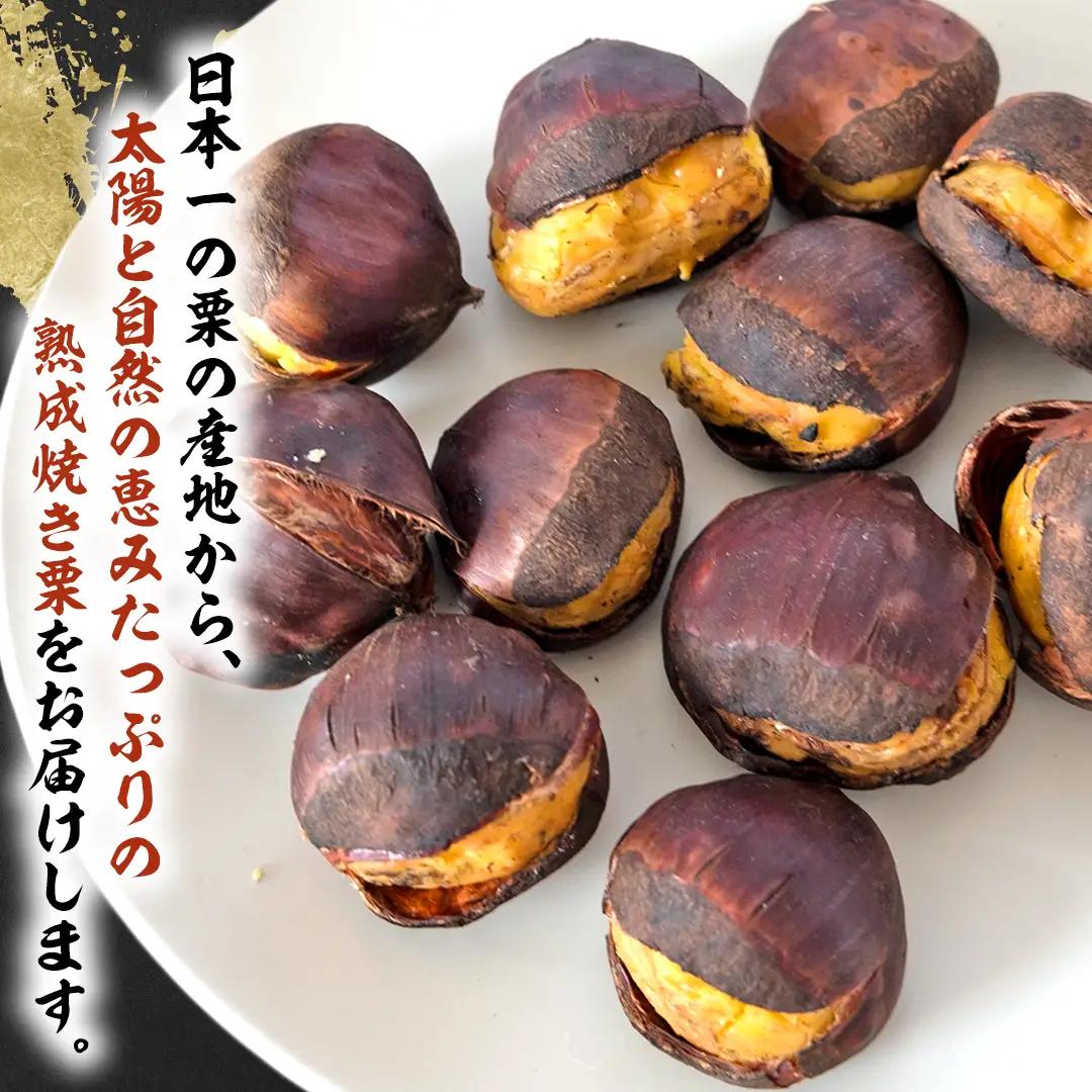 《 2026年 収穫分 》 熟成 焼き栗 ( 200g × 10袋 ) 先行予約 吉原農場 国産 完熟 栗 くり クリ 栗ごはん 栗きんとん 和栗 焼栗 おやつ 和菓子 果物 フルーツ 贈答 ギフト 