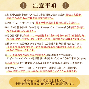 十勝千年の森 入場券＋セグウェイツアー券 2名分【北海道 清水町 自然 十勝千年の森 十勝毎日新聞社 ガーデン 入場券 セグウェイ セグウェイ社公認 レジャー おでかけ】_S030-0006
