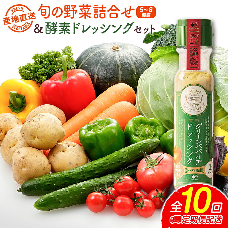 【ふるさと納税】産地直送！旬の野菜（5〜8種類）＆ドレッシング セット 10か月 定期便 おまかせ 詰合せ 宮崎県新富町産［※7・8月はラインナップ都合により配送なし］
