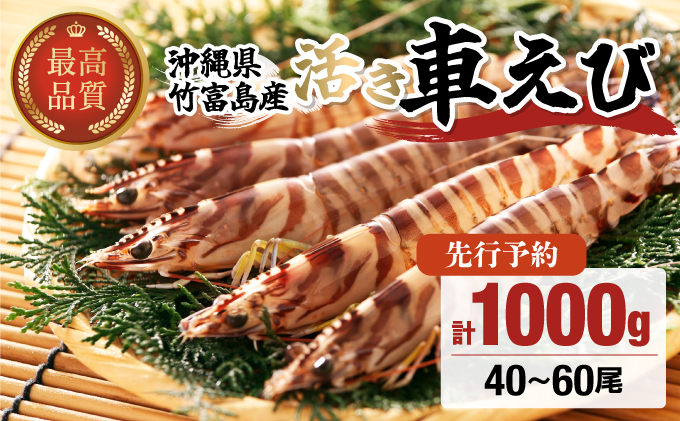 先行予約 竹富島産 活車えび 1kg:40-60尾
