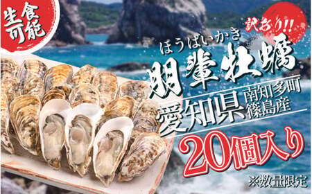 訳あり 牡蠣 かき 生食用 冷蔵 20個 朋輩 牡蠣 篠島 かき 貝 かい オイスター 篠島 かき 貝 かい オイスター 篠島 かき