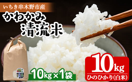 【令和6年度 新米 ＜10月中旬より発送＞】米 10kg！（10kg×1袋）かわかみ清流米（ひのひかり） 令和6年 鹿児島県産 農家直送 新米 米 白米 10kg 袋 ひのひかり 備蓄 や 贈答 にも