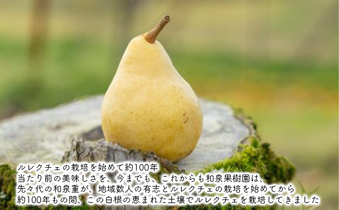 ルレクチェ 2kg 家庭用 レクチェ ル・レクチェ 洋梨 セット 