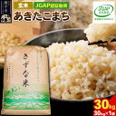 【ふるさと納税】【玄米】令和6年産 秋田県産 あきたこまち 30kg(30kg×1袋) 【JGAP認証】【秋田県特別栽培農産物認証】