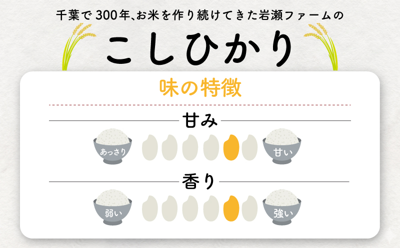【コシヒカリ 5kg】 米 お米 こめ コメ こしひかり 【令和7年度産】 【千葉県産】 kome okome 精米 白米 ご飯 ごはん 米 ごはん 備蓄米 国産 炊飯 ※ ブランド米 甘い ツヤ ギ