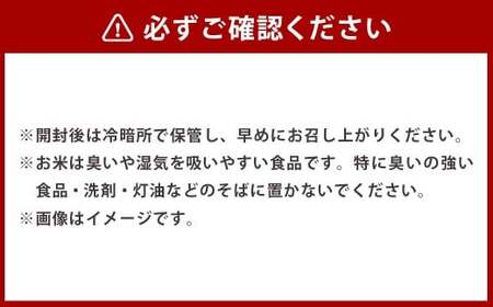 【令和7年産】 ななつぼし （精白米） 北海道 米 定番の品種 1kg ／ お米 米 ご飯 ごはん 白米 北海道 鷹栖町 常温