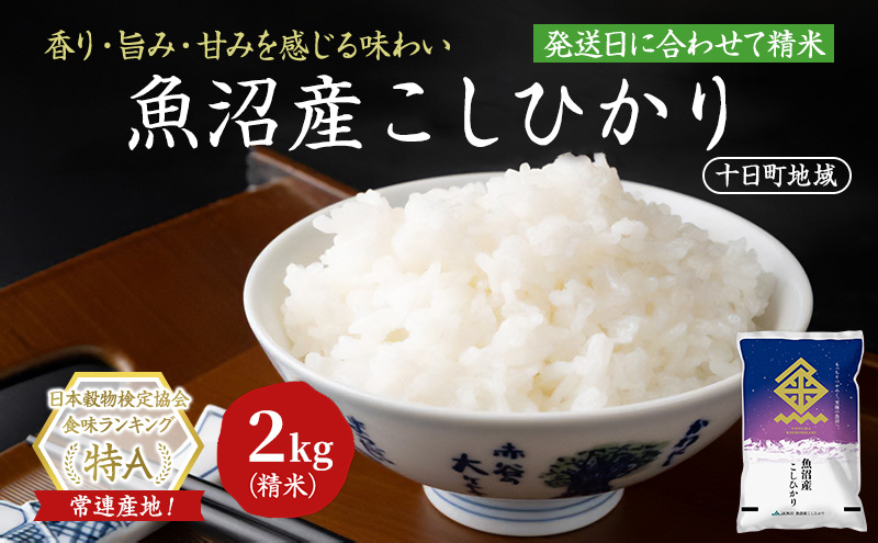 【令和8年産 先行予約】魚沼産こしひかり(十日町地域) 精米 2kg 米 お米 コシヒカリ 十日町市